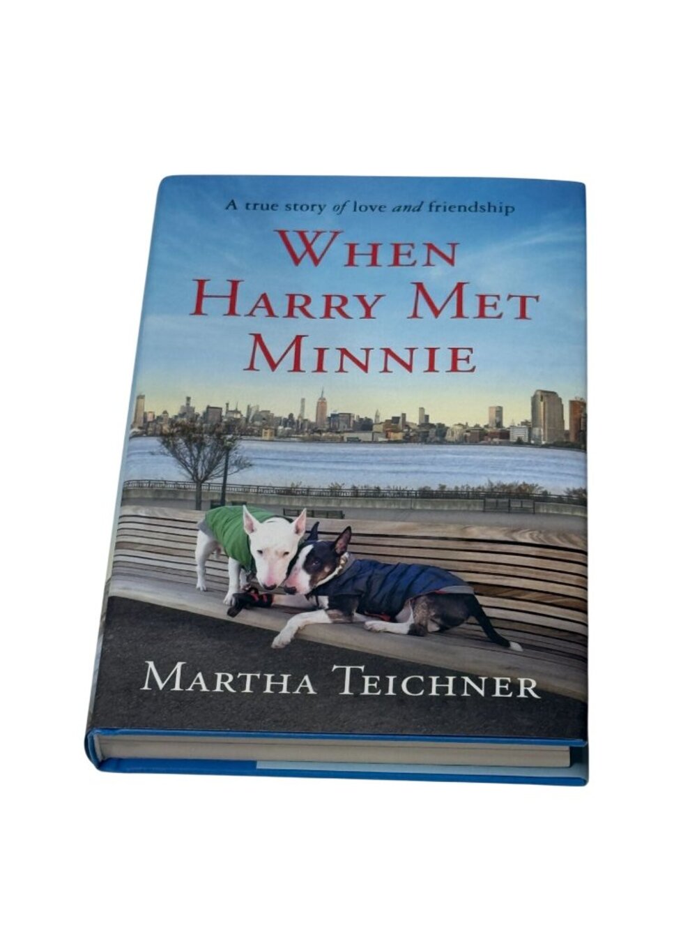 When Harry Met Minnie Martha Teichner Hardcover Memoir Dog Friendship New